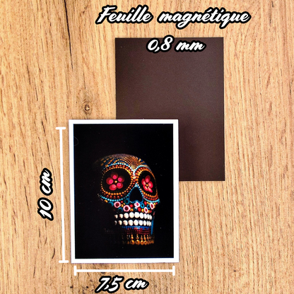 Magnets rectangulaires
